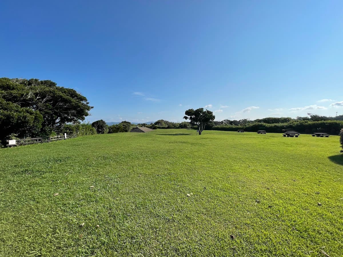荒崎海岸 潮騒の道 夕日の絶景 の写真 2