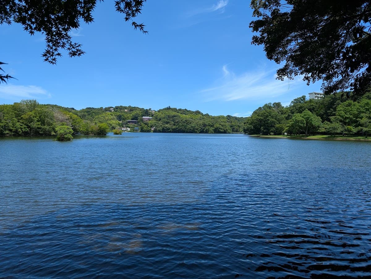 一碧湖 伊豆の瞳を巡る湖畔散歩