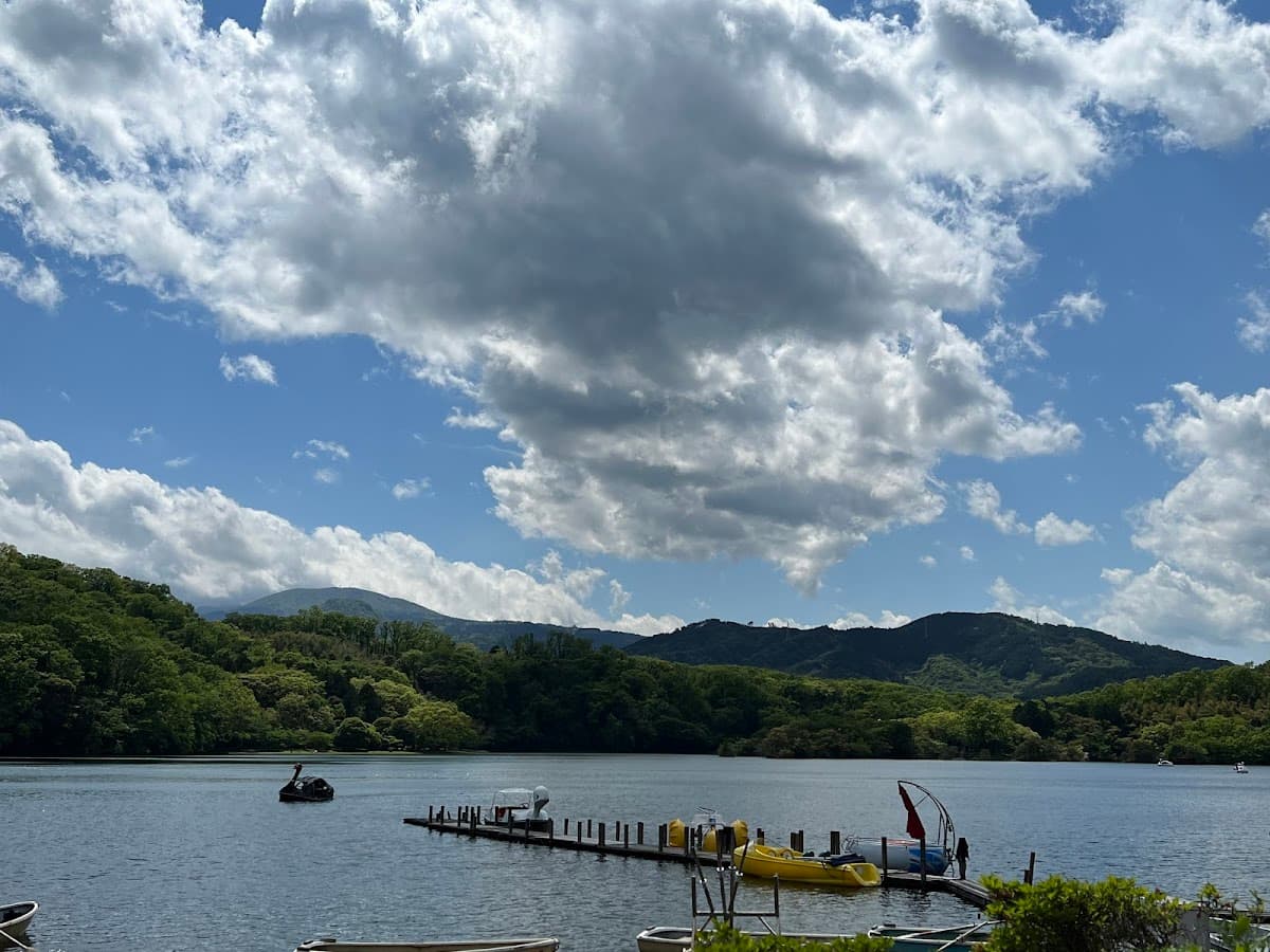 一碧湖 伊豆の瞳を巡る湖畔散歩 の写真 2
