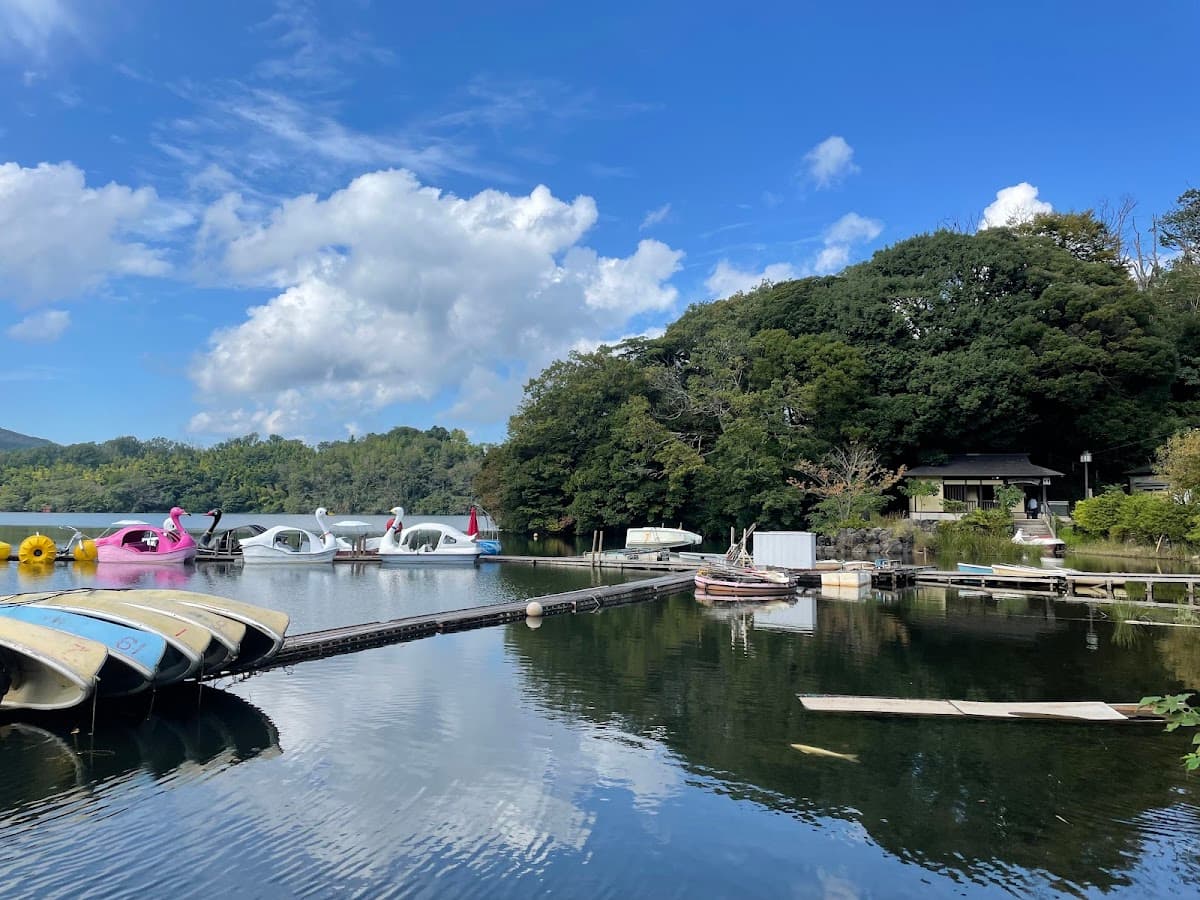 一碧湖 伊豆の瞳を巡る湖畔散歩 の写真 4