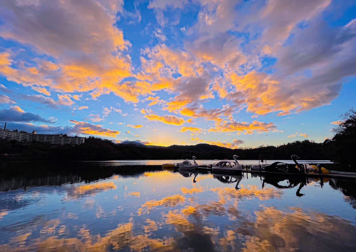 一碧湖 伊豆の瞳を巡る湖畔散歩 の写真 5