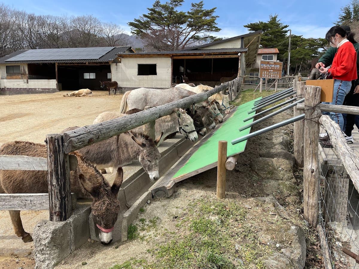 那須 南ヶ丘牧場 高原の牧場散歩 の写真 2