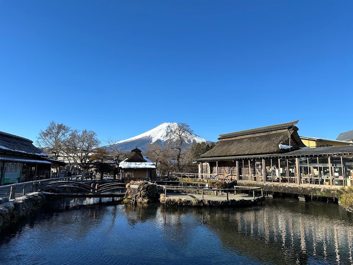 忍野八海 富士の湧水池めぐり の写真 3