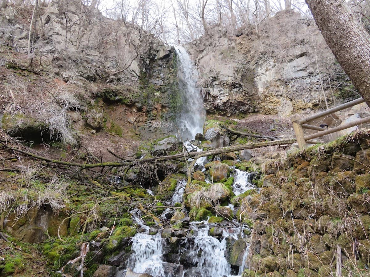 軽井沢 千ヶ滝せせらぎの道 森と滝の散歩 の写真 3