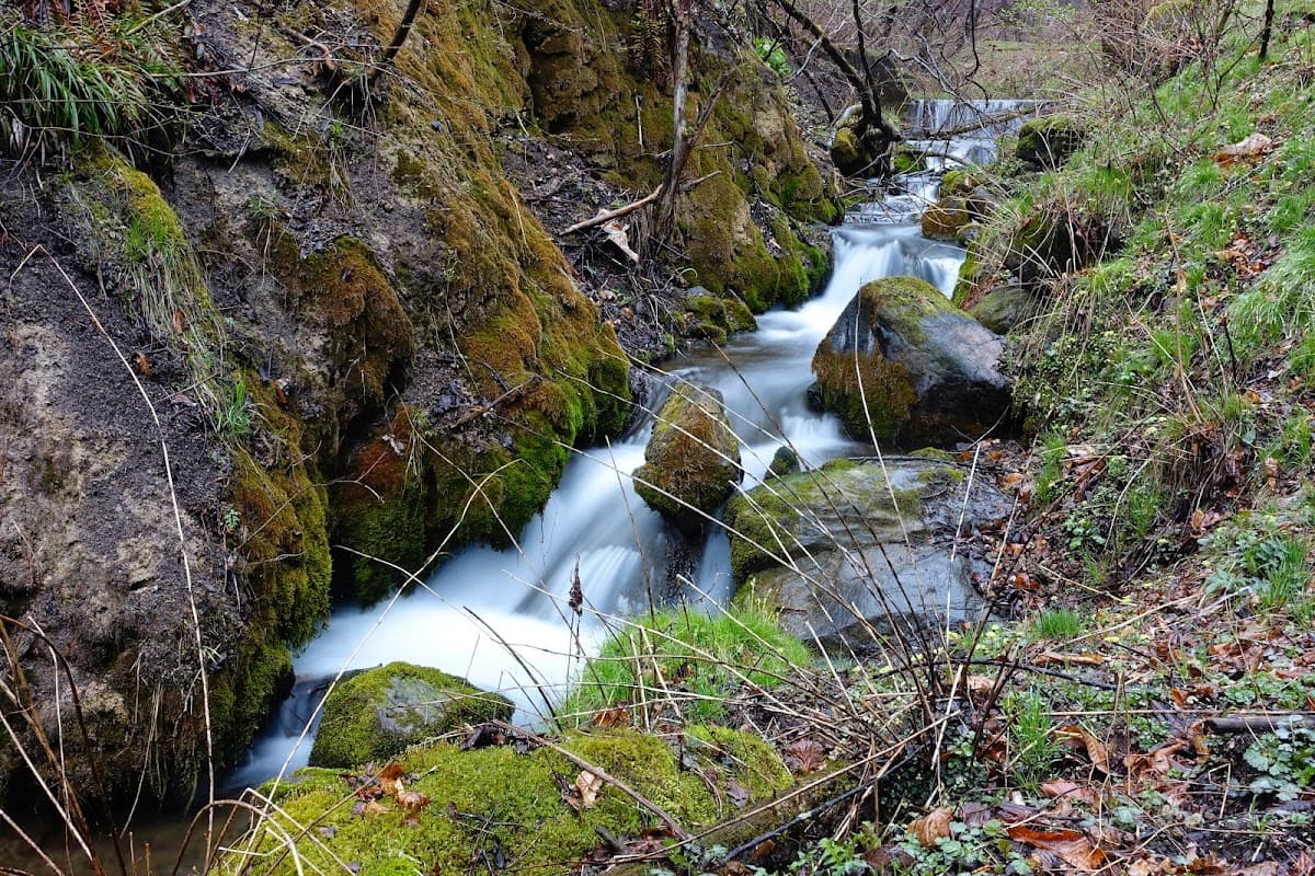 軽井沢 千ヶ滝せせらぎの道 森と滝の散歩 の写真 4