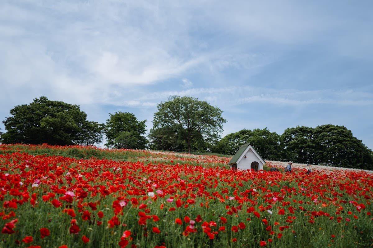 昭和記念公園 花と芝生のドッグラン散歩