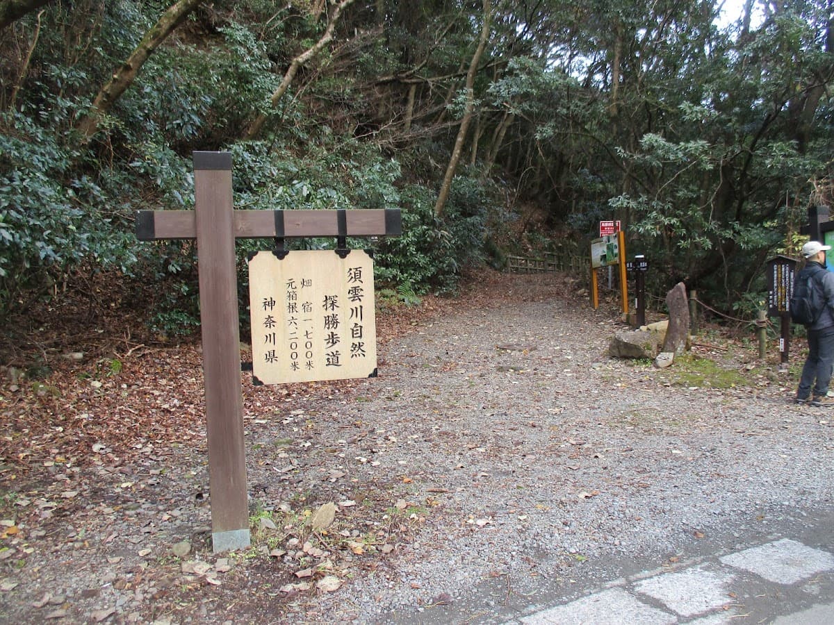 須雲川 石畳の自然探勝歩道 の写真 3