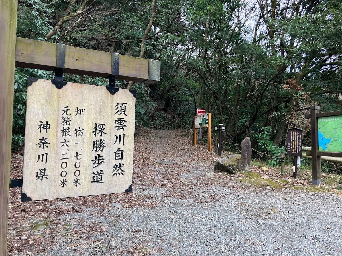 須雲川 石畳の自然探勝歩道 の写真 4