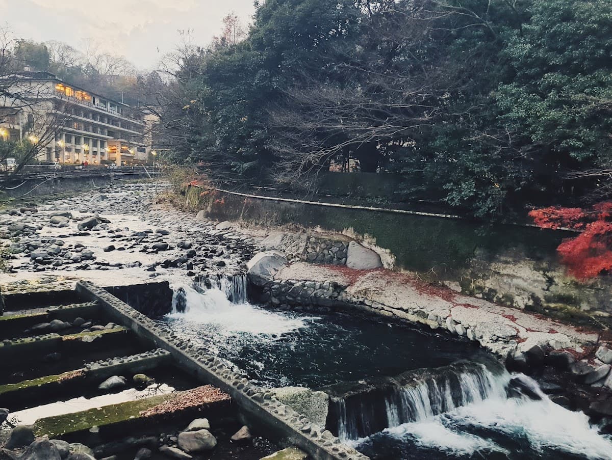須雲川 石畳の自然探勝歩道 の写真 5