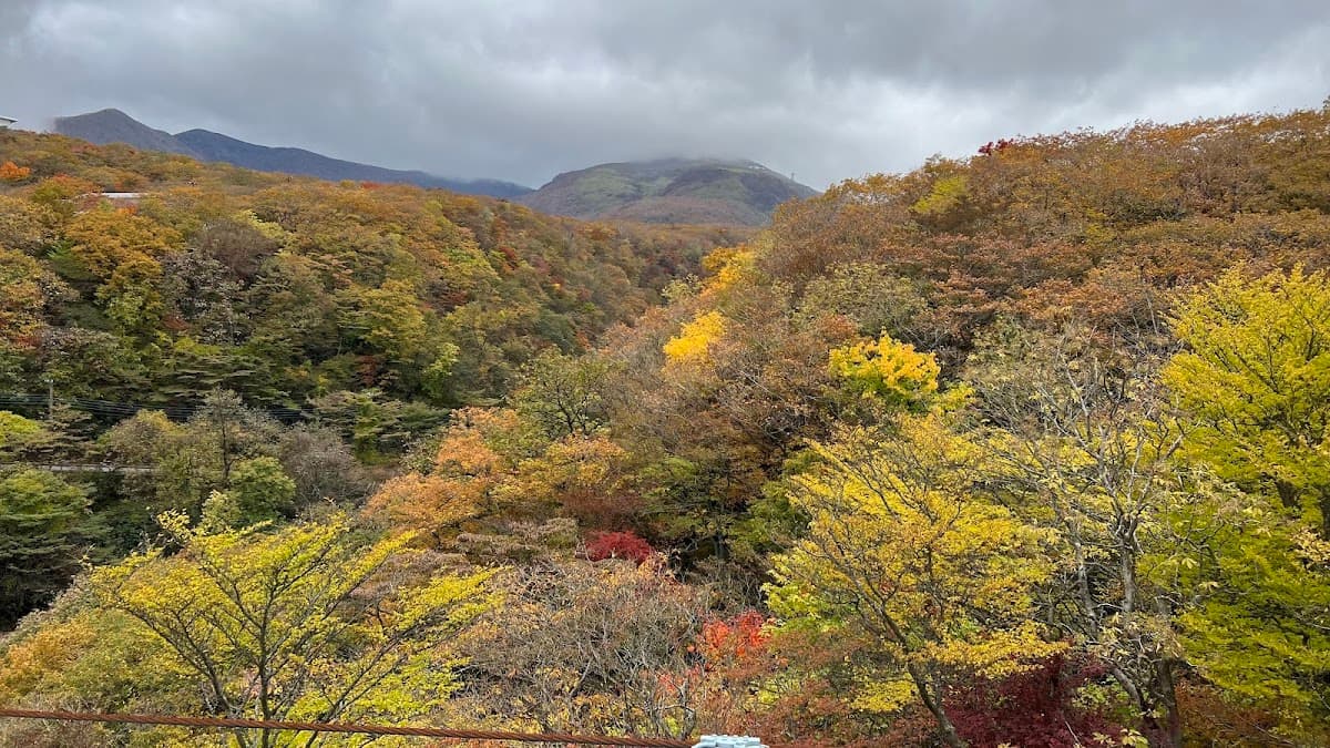 那須高原 つつじ吊橋と八幡の自然研究路 の写真 2