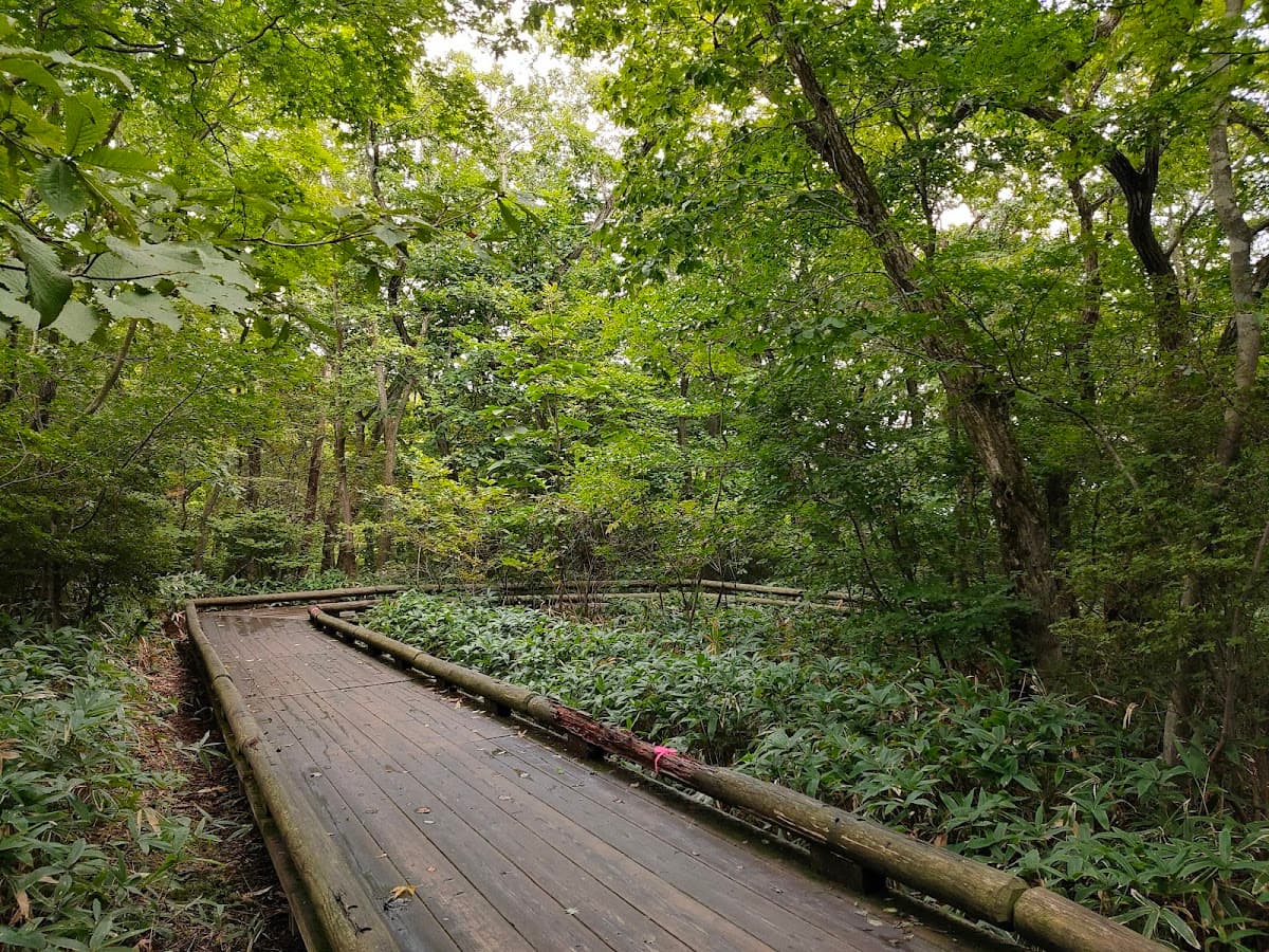 那須高原 つつじ吊橋と八幡の自然研究路 の写真 3