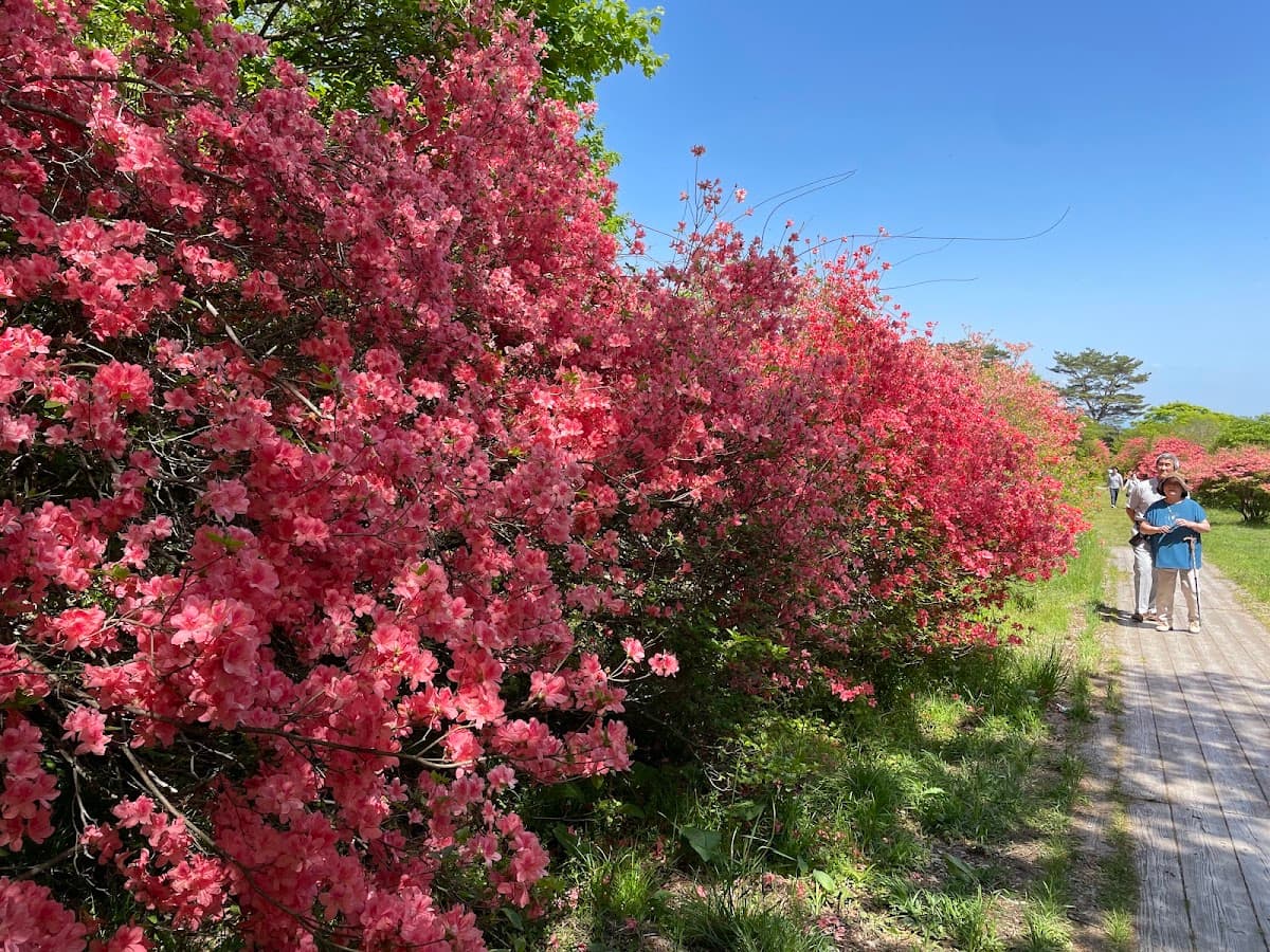 那須高原 つつじ吊橋と八幡の自然研究路 の写真 4