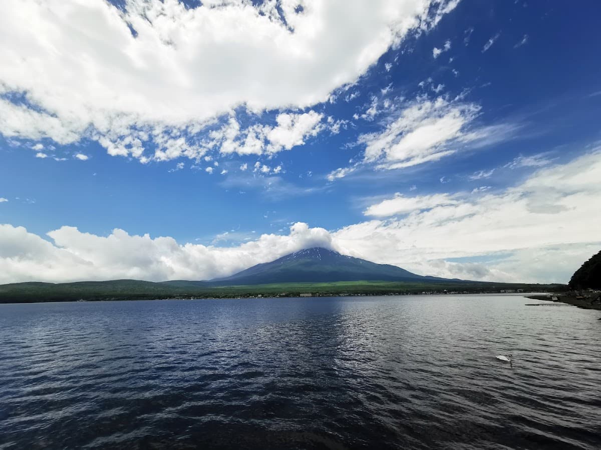 山中湖 富士山を望む湖畔散歩 の写真 3