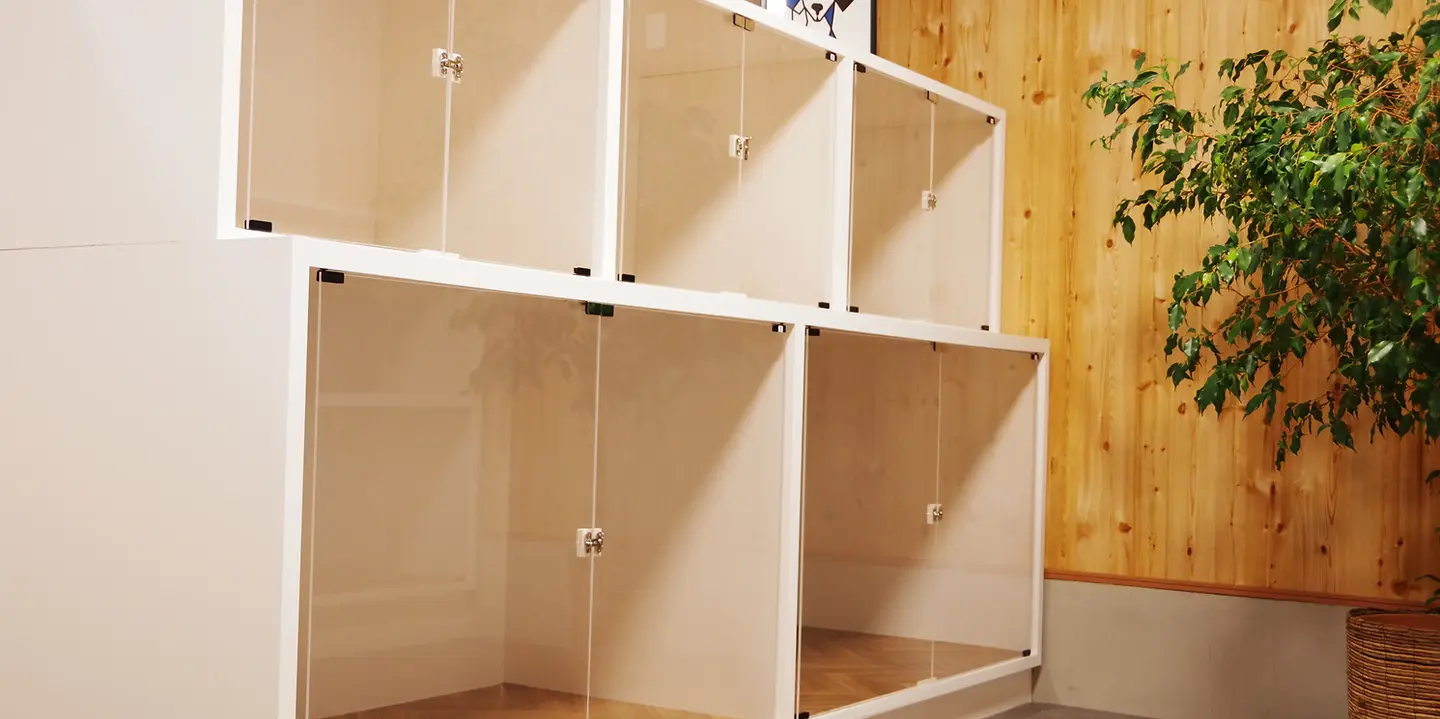 箱根ペットホテル DogHub箱根仙石原 犬連れ旅行の拠点 ドッグランと自然に囲まれた施設