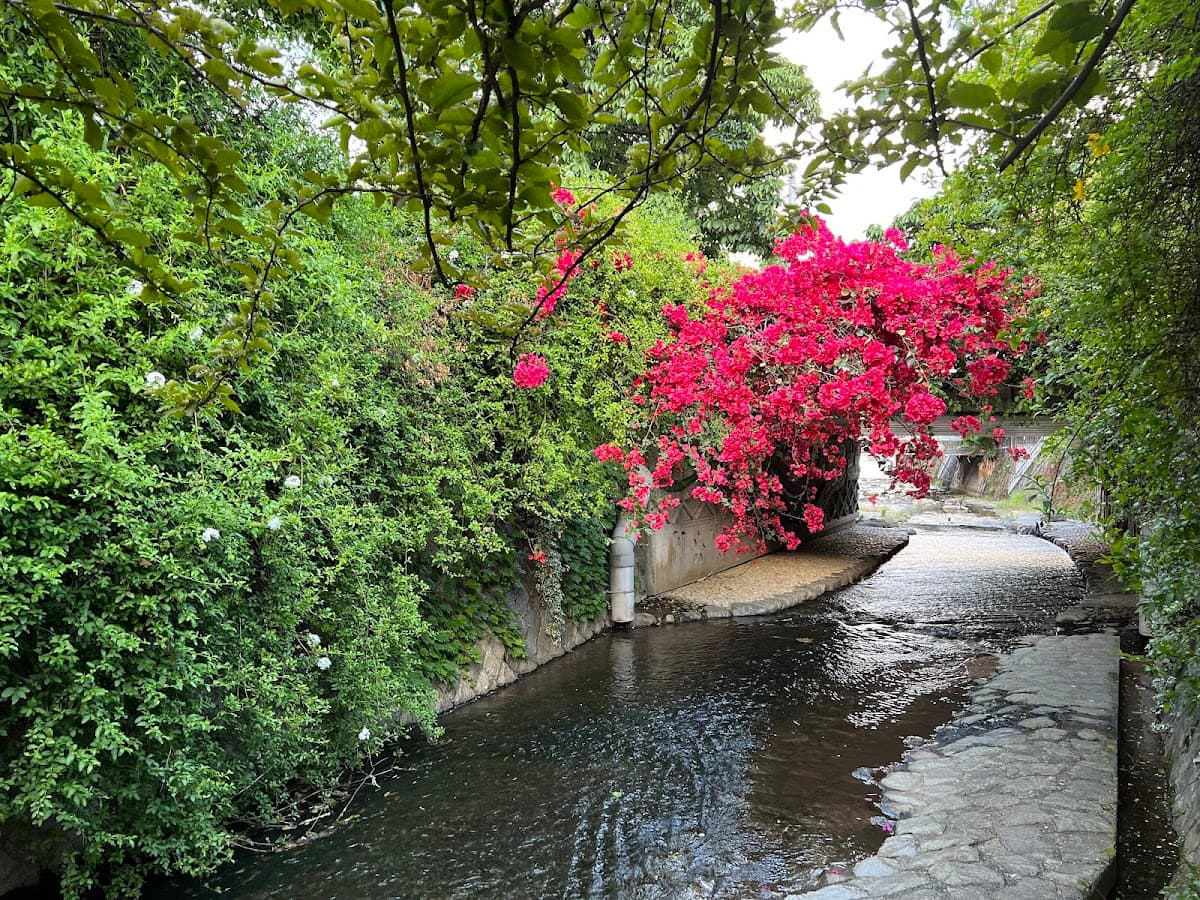 熱海 糸川桜とサンビーチの海辺散歩 の写真 4