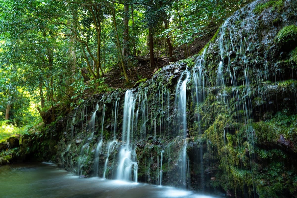 千条の滝 森の散策コース