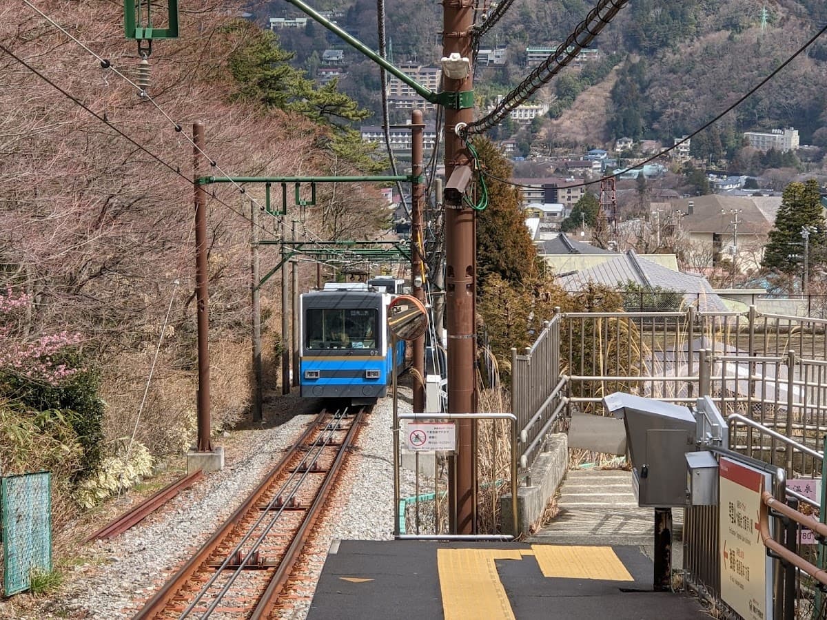 強羅あじさい散歩コース