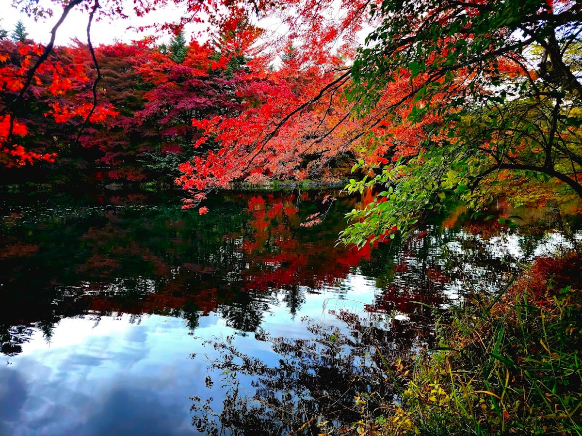 雲場池 軽井沢の水鏡 の写真 3