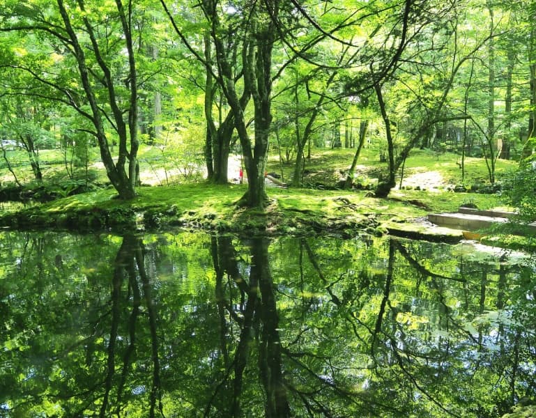 雲場池 軽井沢の水鏡 の写真 4