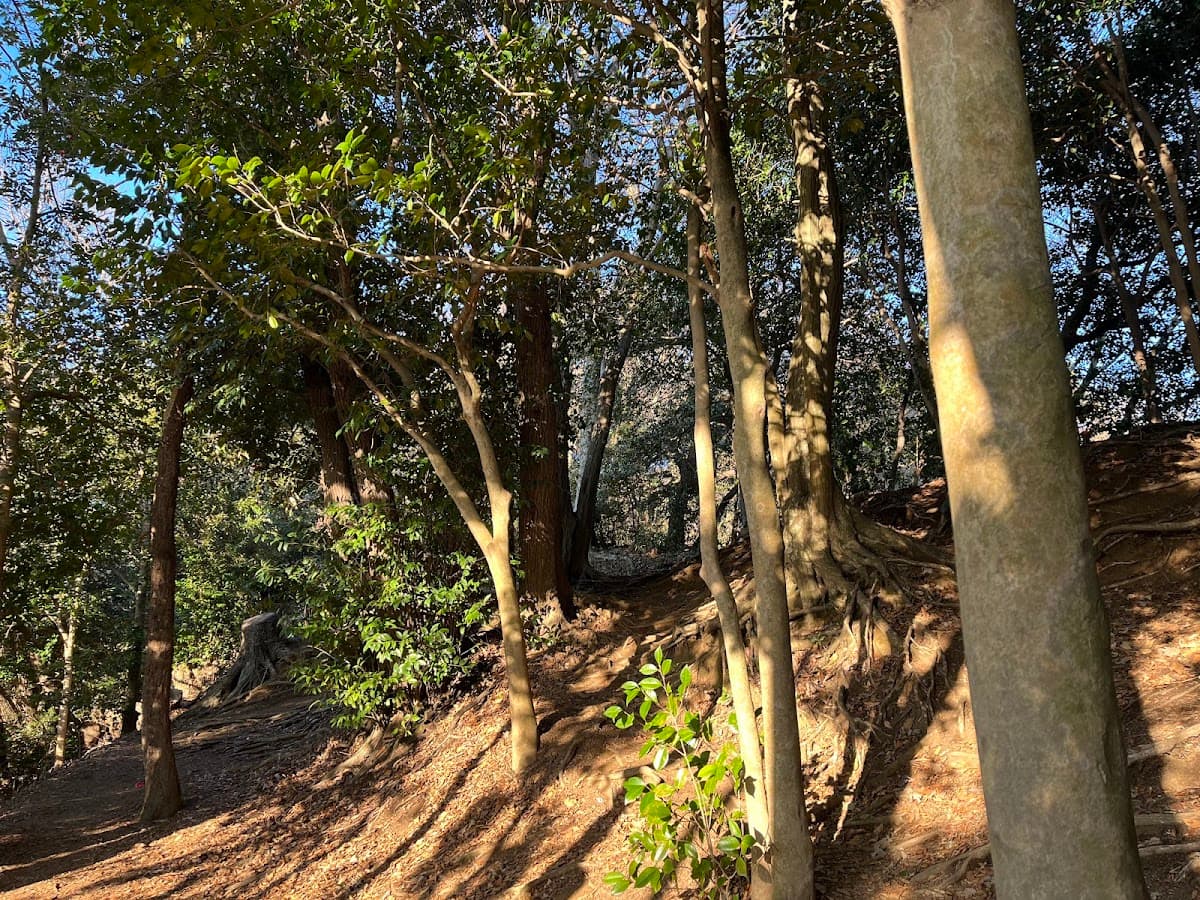 葛原岡・大仏ハイキング 鎌倉の山と仏