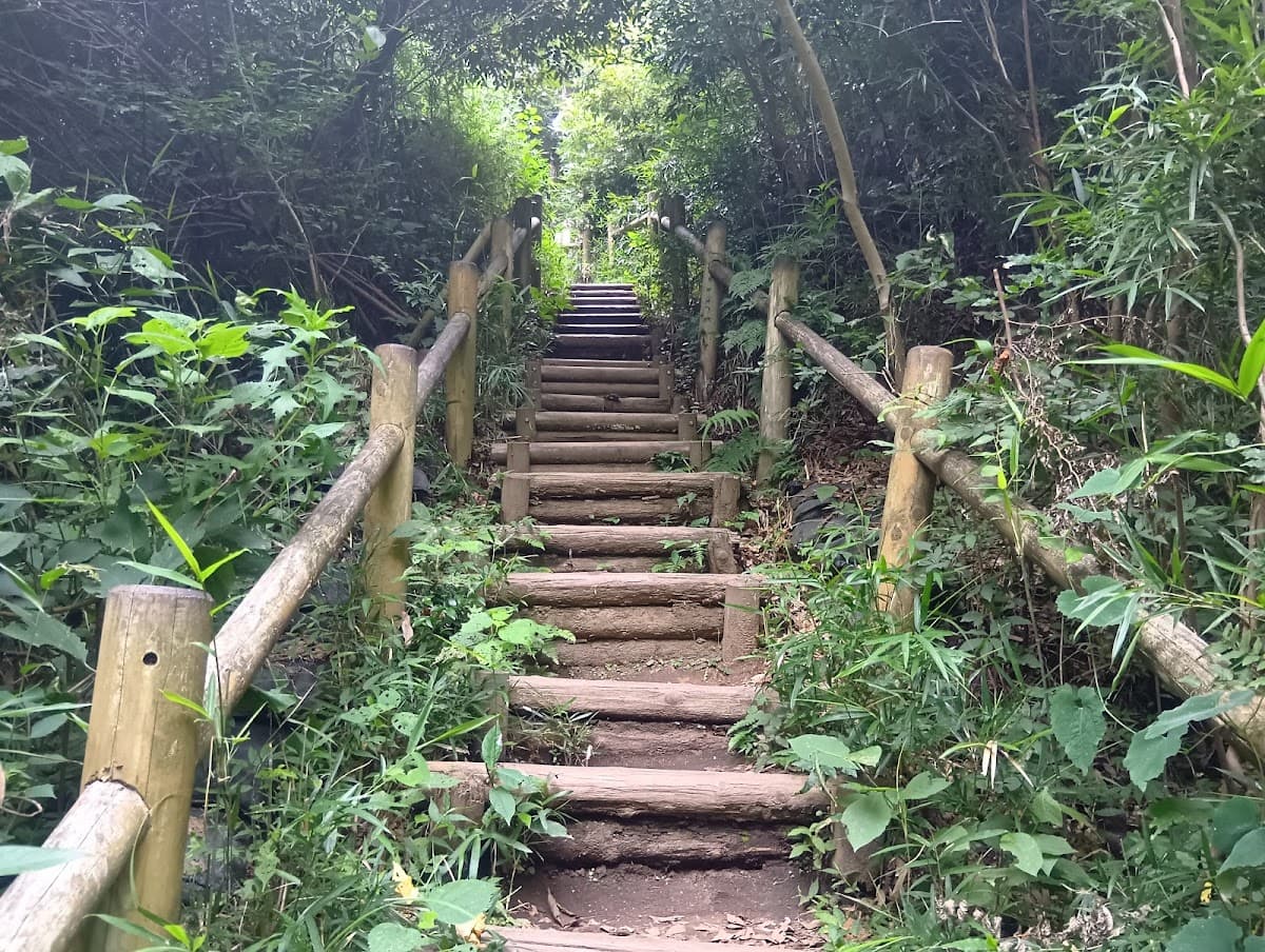 葛原岡・大仏ハイキング 鎌倉の山と仏 の写真 2