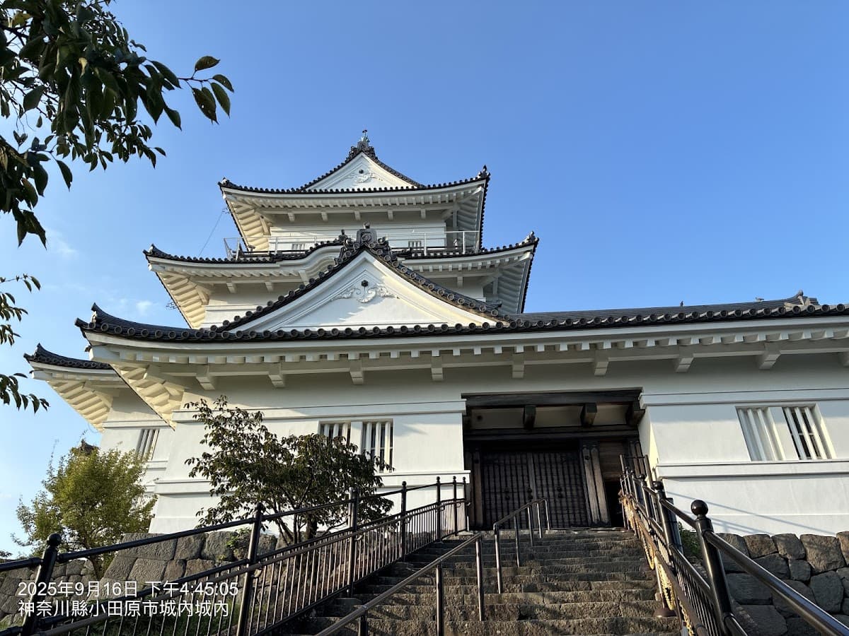 小田原城址と西海子小路 城と桜の散歩