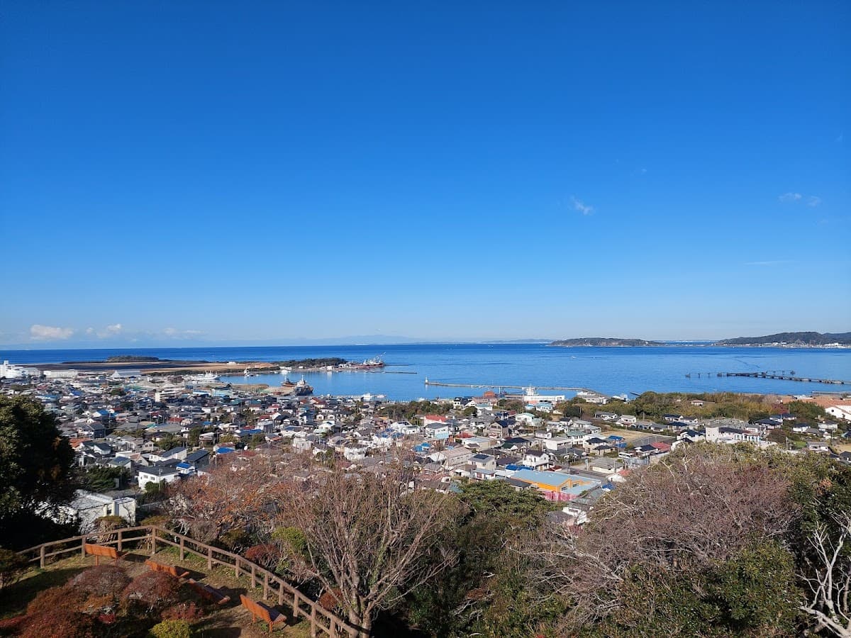 小田原城址と西海子小路 城と桜の散歩 の写真 3