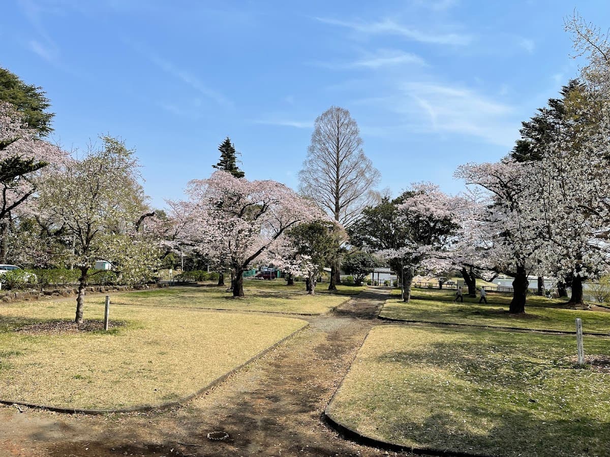 小田原城址と西海子小路 城と桜の散歩 の写真 4