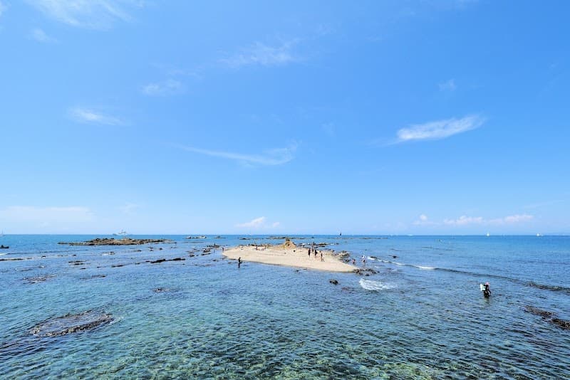 葉山 真名瀬海岸〜芝崎海岸 磯の散歩道 の写真 3