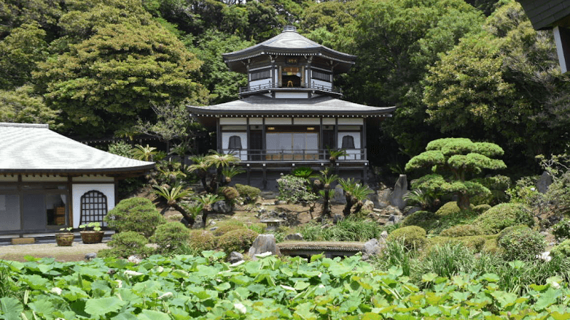 材木座海岸〜光明寺 海と古寺の散歩 の写真 2